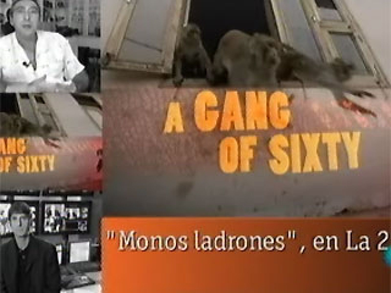 "¿Por qué se repiten tanto los documentales de La 2?"