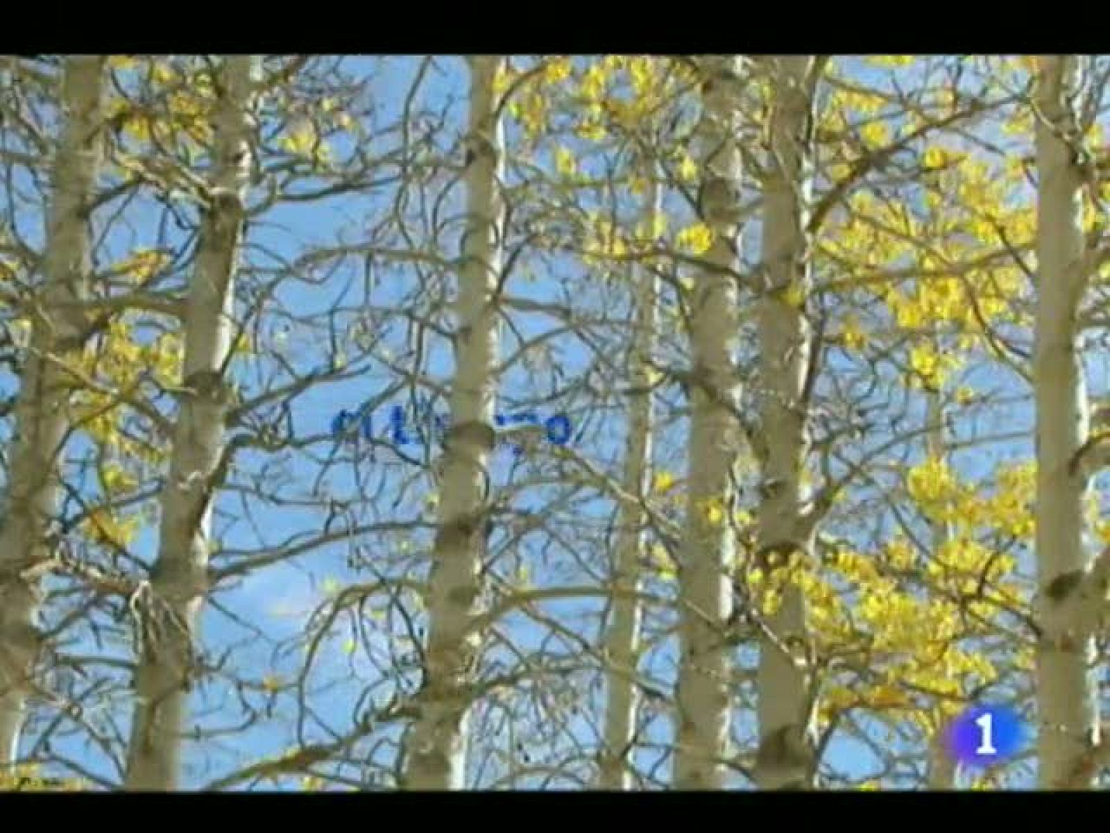 El tiempo en Canarias - 03/10/11 | Ver