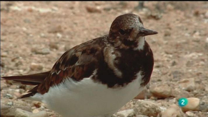 Biodiario - Biodiario - 03/10/11