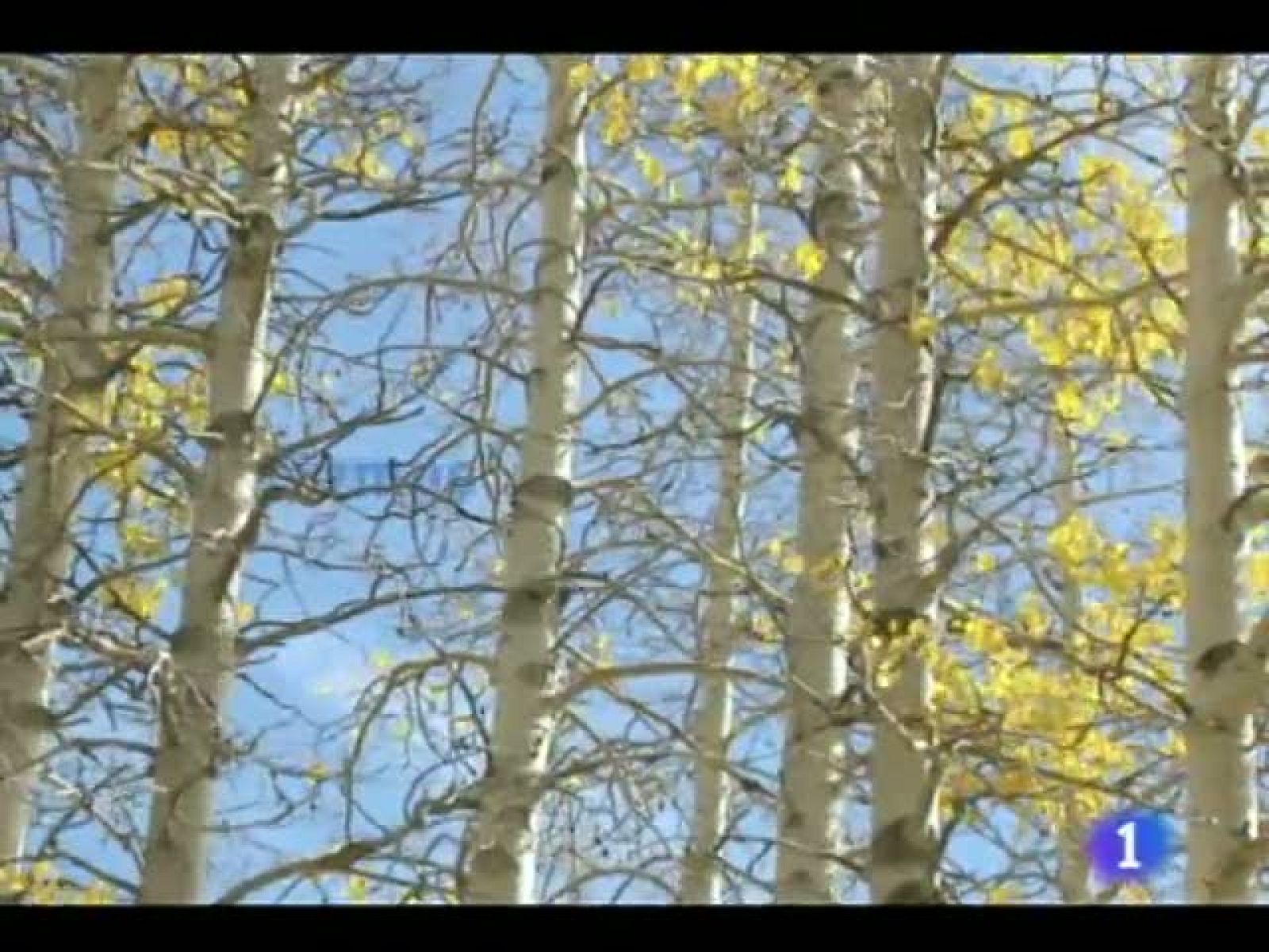 El tiempo en Castilla y León - 04/10/11