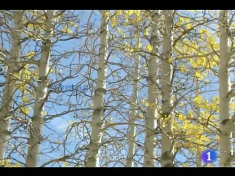 El tiempo en Castilla y León - 04/10/11