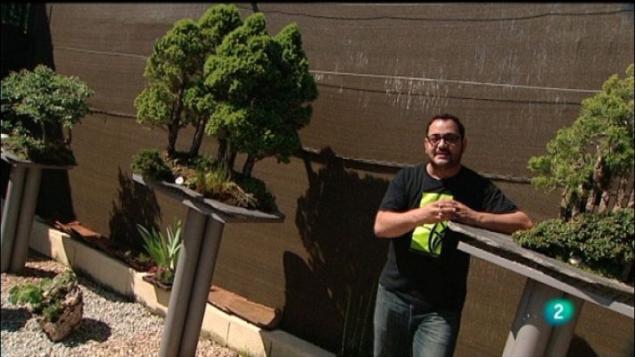 La aventura del Saber - La aventura del saber - 05/10/11