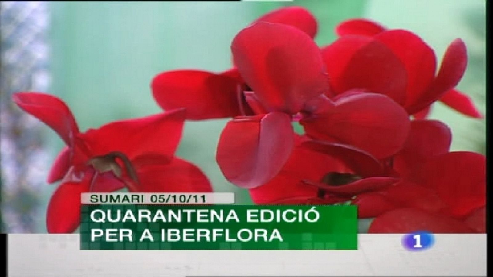 Comunidad Valenciana en 2' - 05/10/11 - Ver ahora