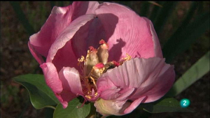 Biodiario - Biodiario - 05/10/11