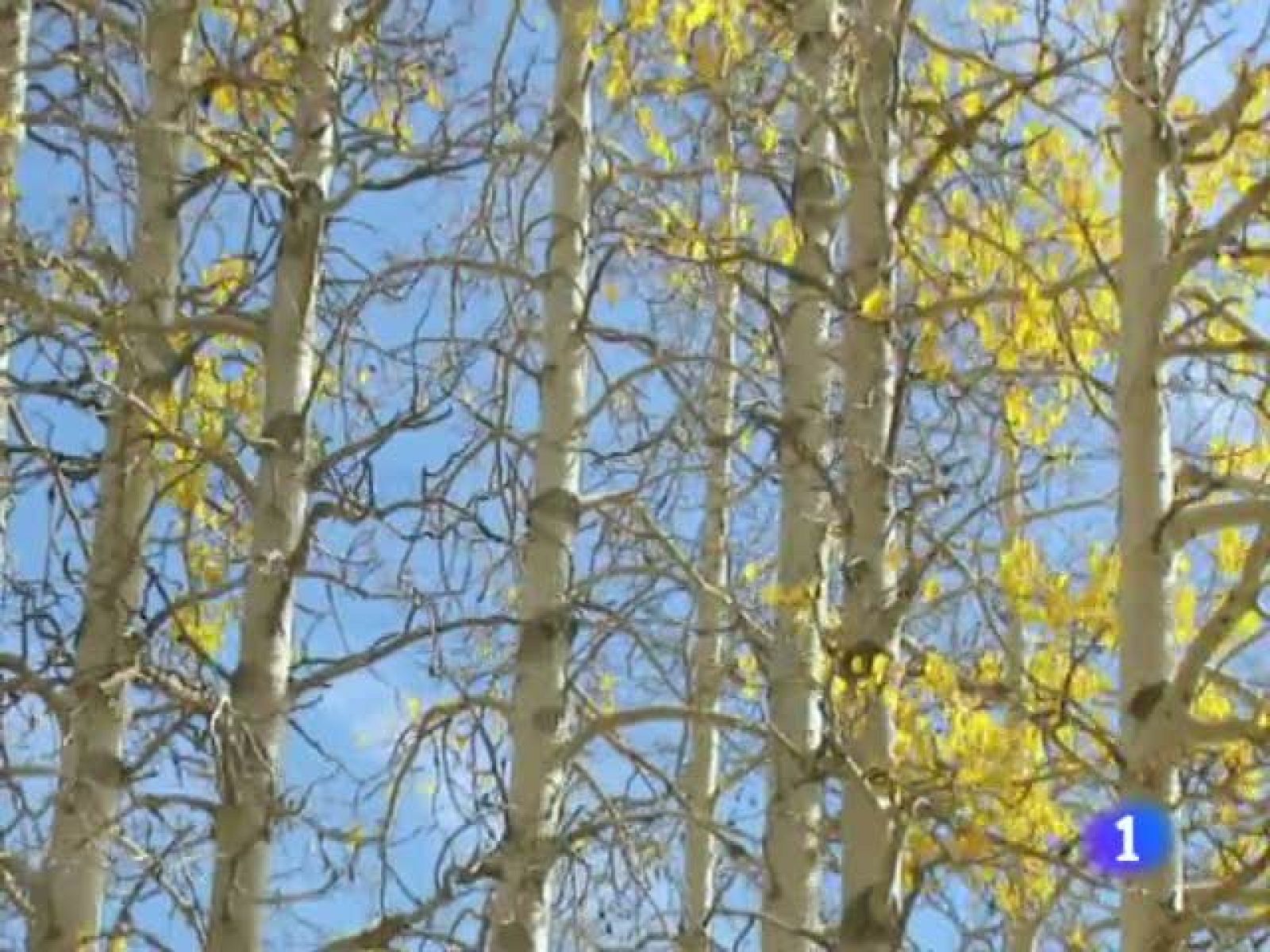 El tiempo en la Comunidad de Galicia - 06/10/11