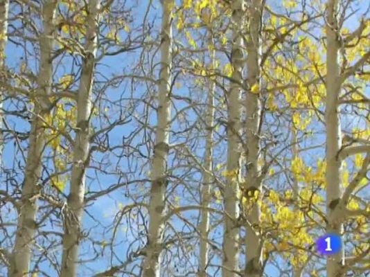 Telexornal - Galicia - El tiempo en la Comunidad de Galicia - 06/10/11