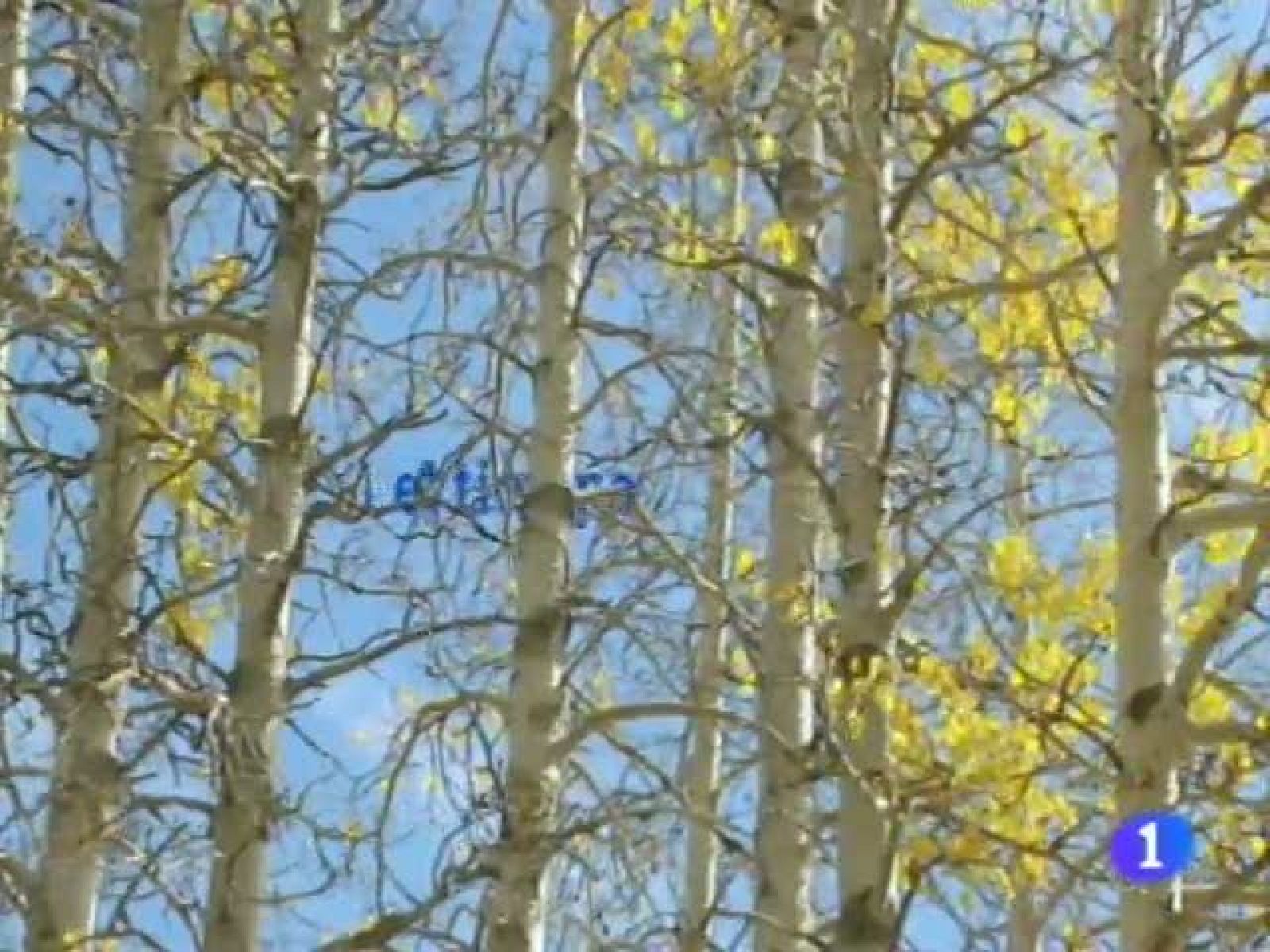 El tiempo en Andalucía 06/10/11 | Ver