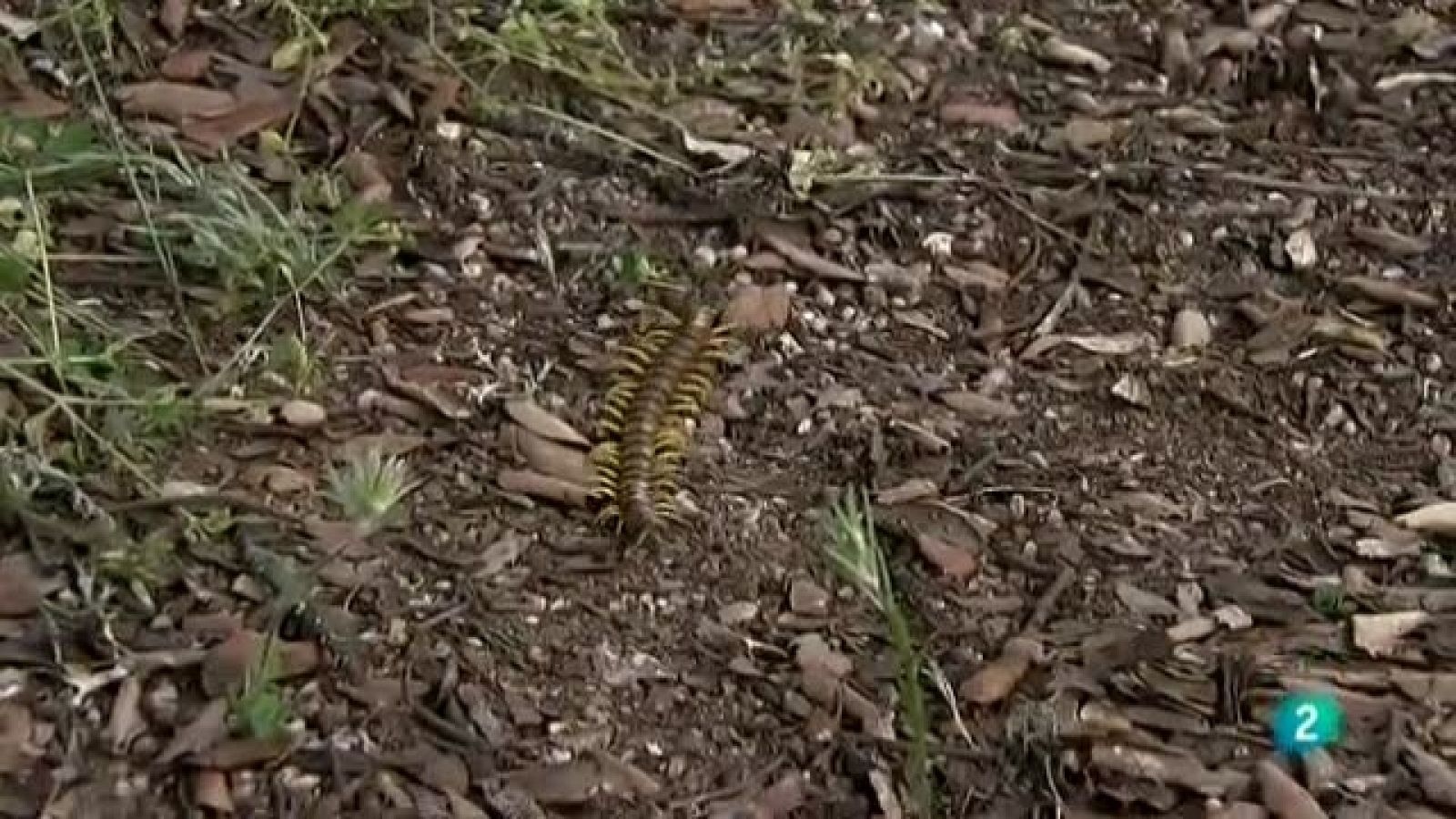 Biodiario - 06/10/11 - Ver ahora