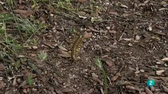 Biodiario - Biodiario - 06/10/11