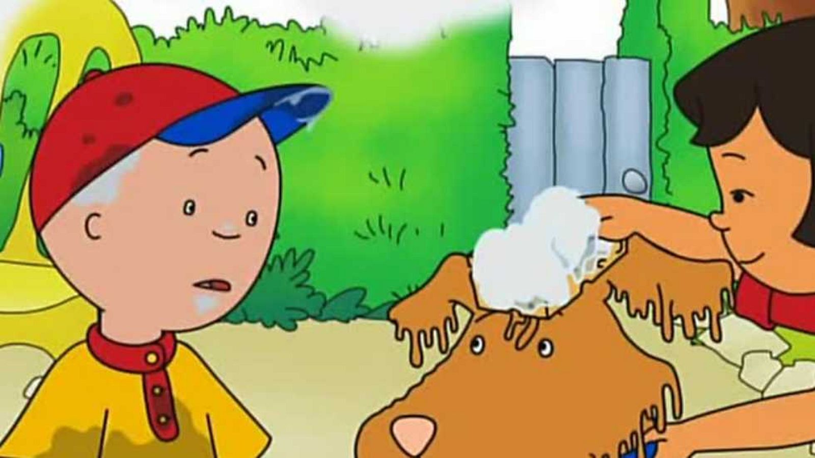 El dilema del perro - Caillou | Ver