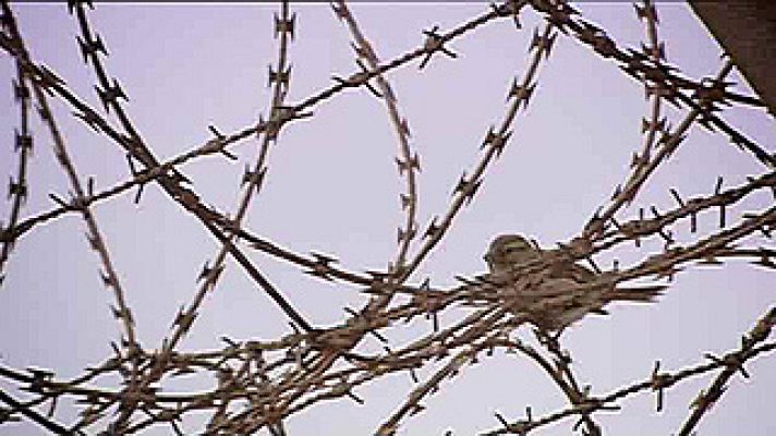 Universo UNED - Fronteras, muros y apartheid.