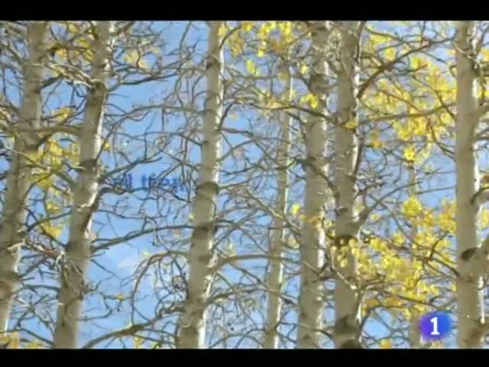 El tiempo en Castilla y León - 07/10/11