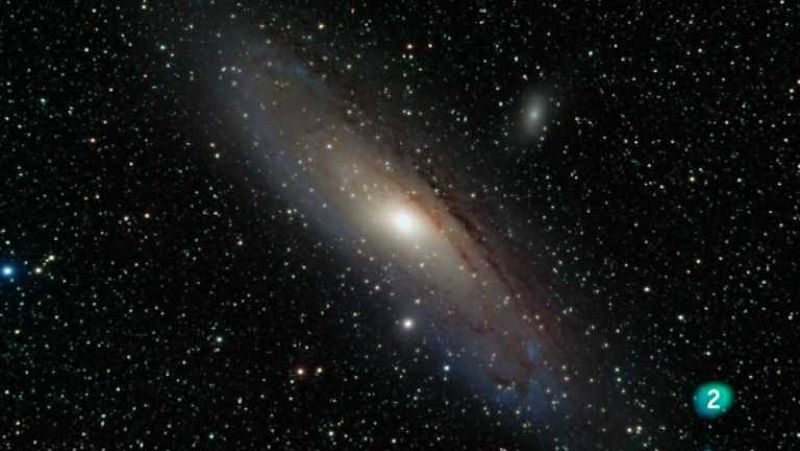 El escarabajo verde - El coleccionista de estrellas - Ver ahora