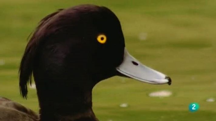 Biodiario - Biodiario - 07/10/11