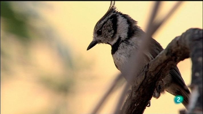 Biodiario - Biodiario - 09/10/11