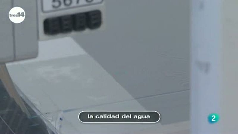 tres14 - curiosidades científicas - La calidad  del agua