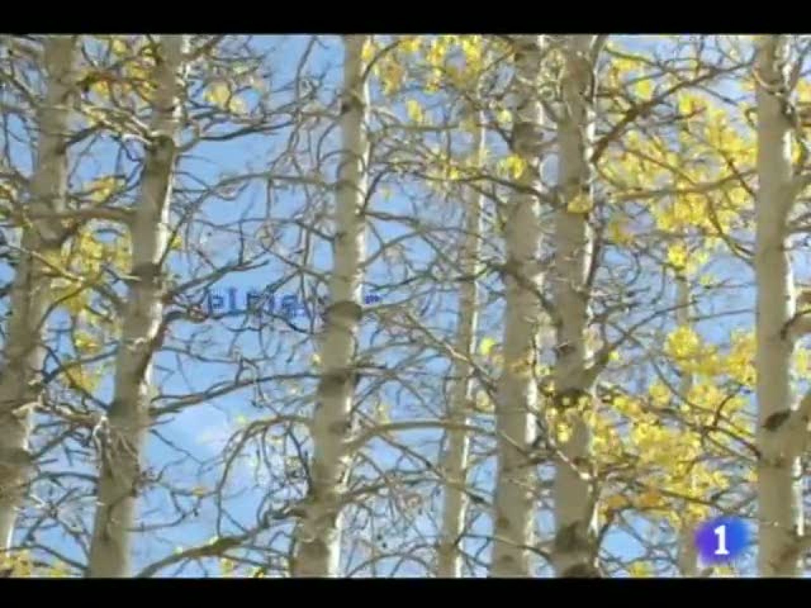 El tiempo en Castilla y León- 10/10/2011