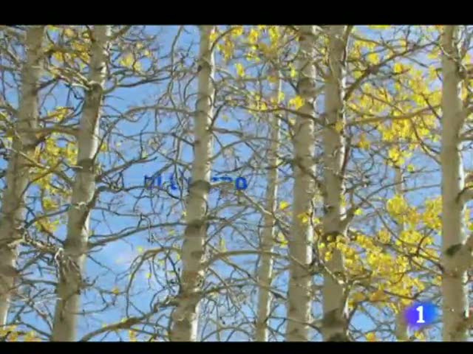 El tiempo en La Rioja - 10/10/11 | Ver