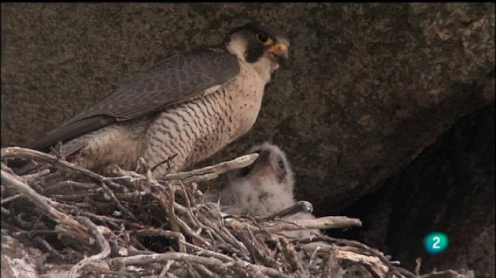 Biodiario - Biodiario - 10/10/11