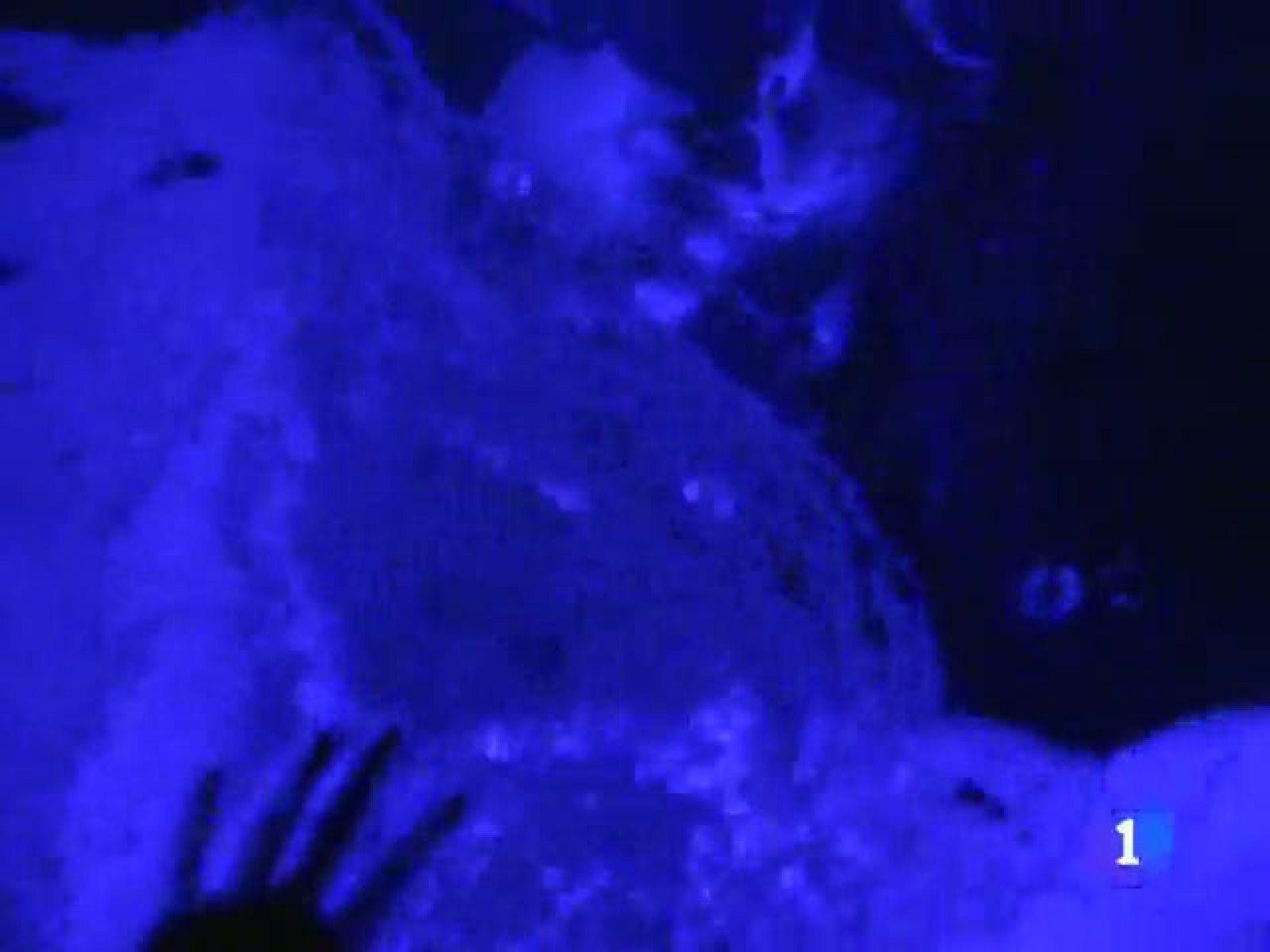 El Teatro Circo Price acoge un espectáculo sin butacas lleno de  efectos especiales, música y acción. | Ver