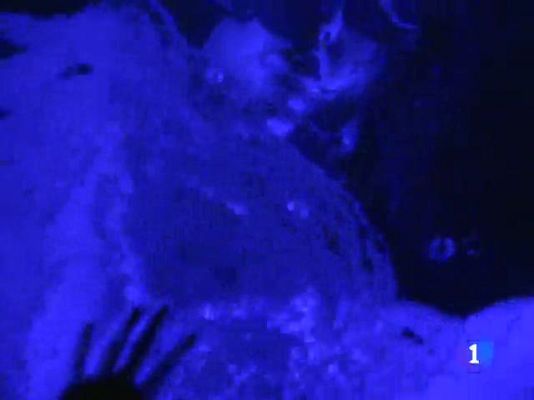 Telediario 1 - El Teatro Circo Price acoge un espectáculo sin butacas lleno de  efectos especiales, música y acción.