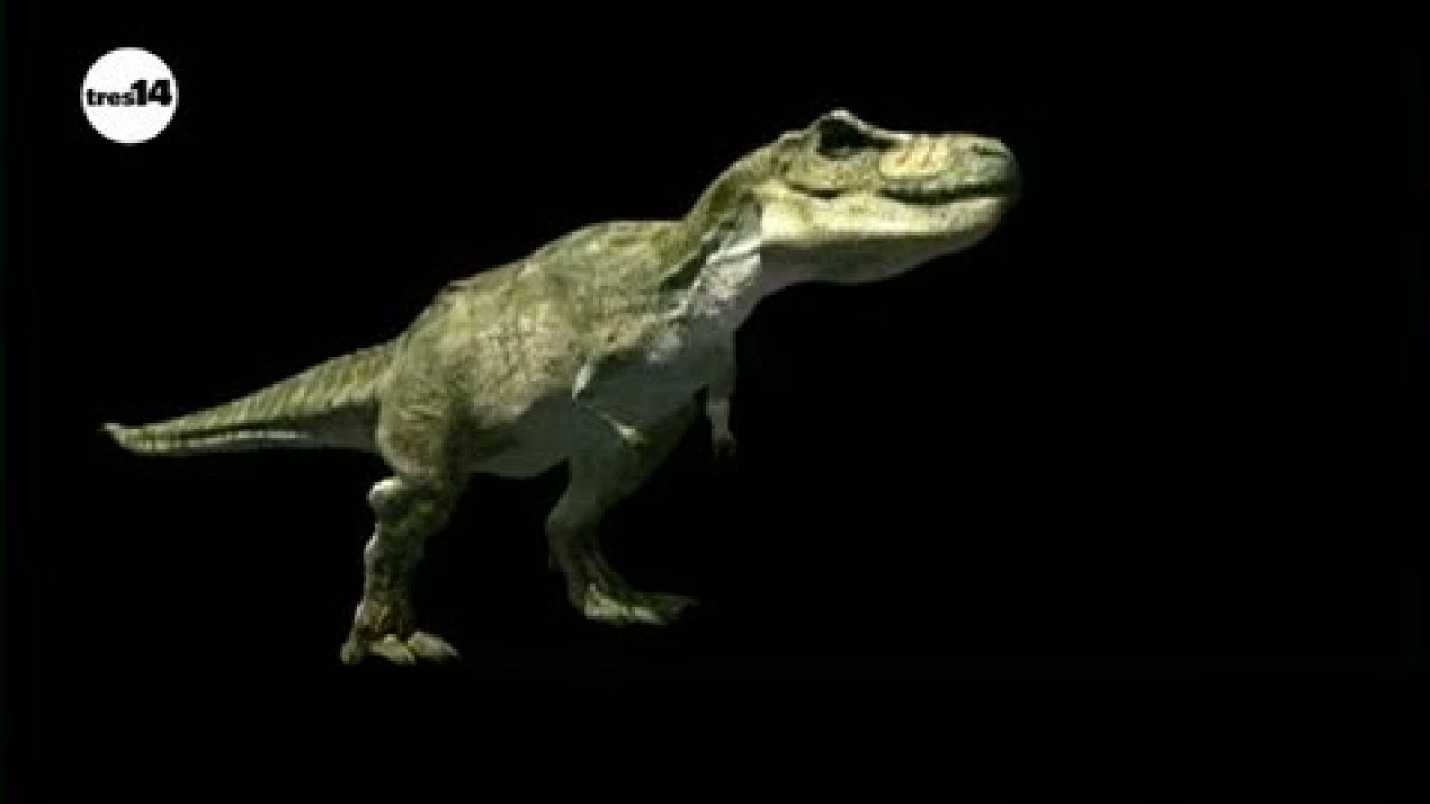 Dinosaurios ibéricos - avance