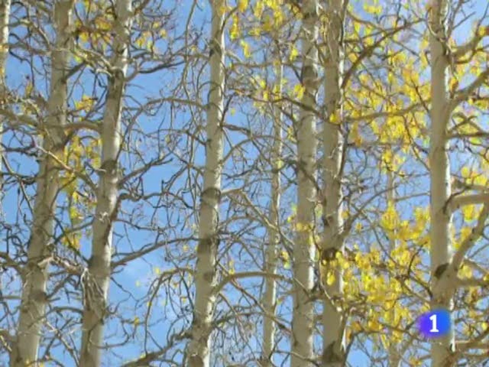 El tiempo en la Comunidad de Galicia - 11/10/11