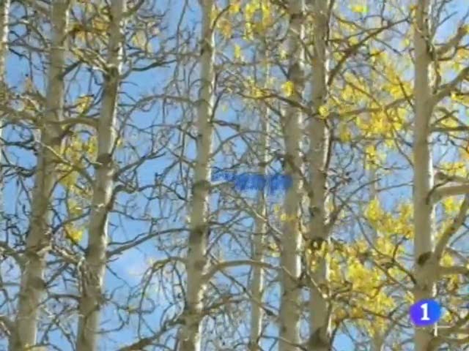 El tiempo en Andalucía - 11/10/11 | Ver