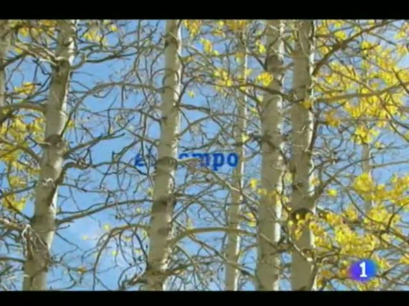 El tiempo en Canarias - 11/10/11 | Ver