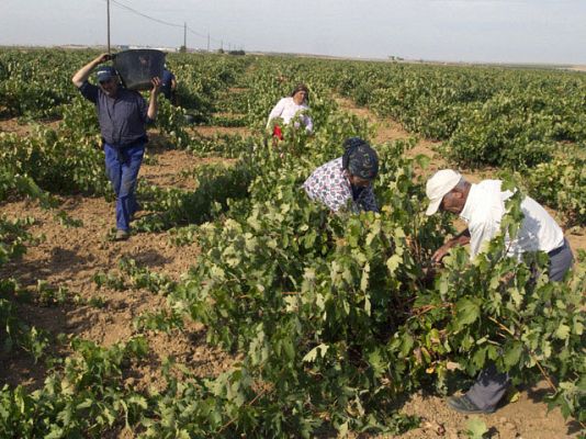 Telediario 1 - La nueva PAC