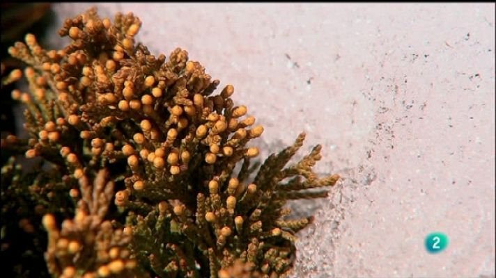 Biodiario - Biodiario - 12/10/11