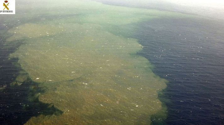 Telediario 1 - El volcán submarino sigue saliendo