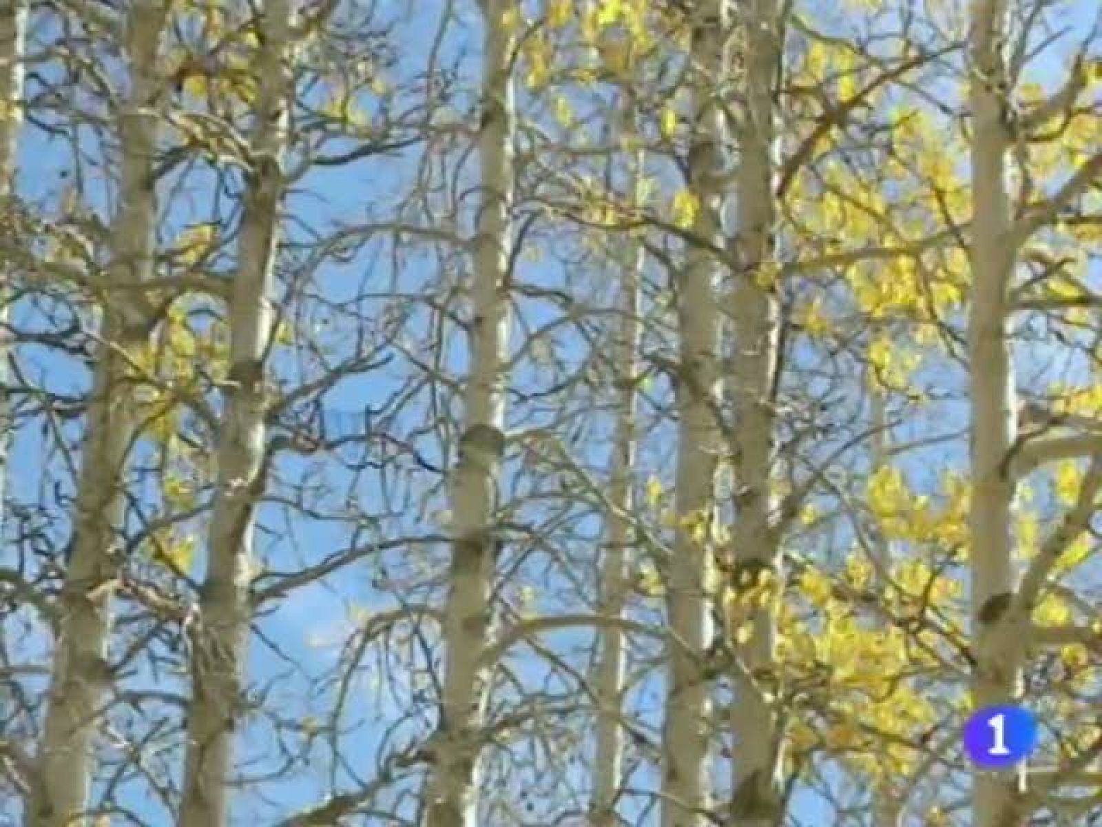 El tiempo en Andalucía - 13/10/11 | Ver