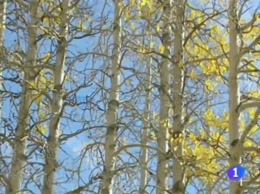 Noticias Andalucía - El tiempo en Andalucía - 13/10/11