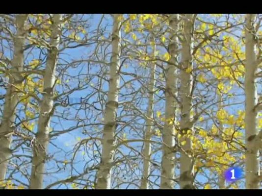 Informativo Telerioja - El tiempo en La Rioja - 13/10/11