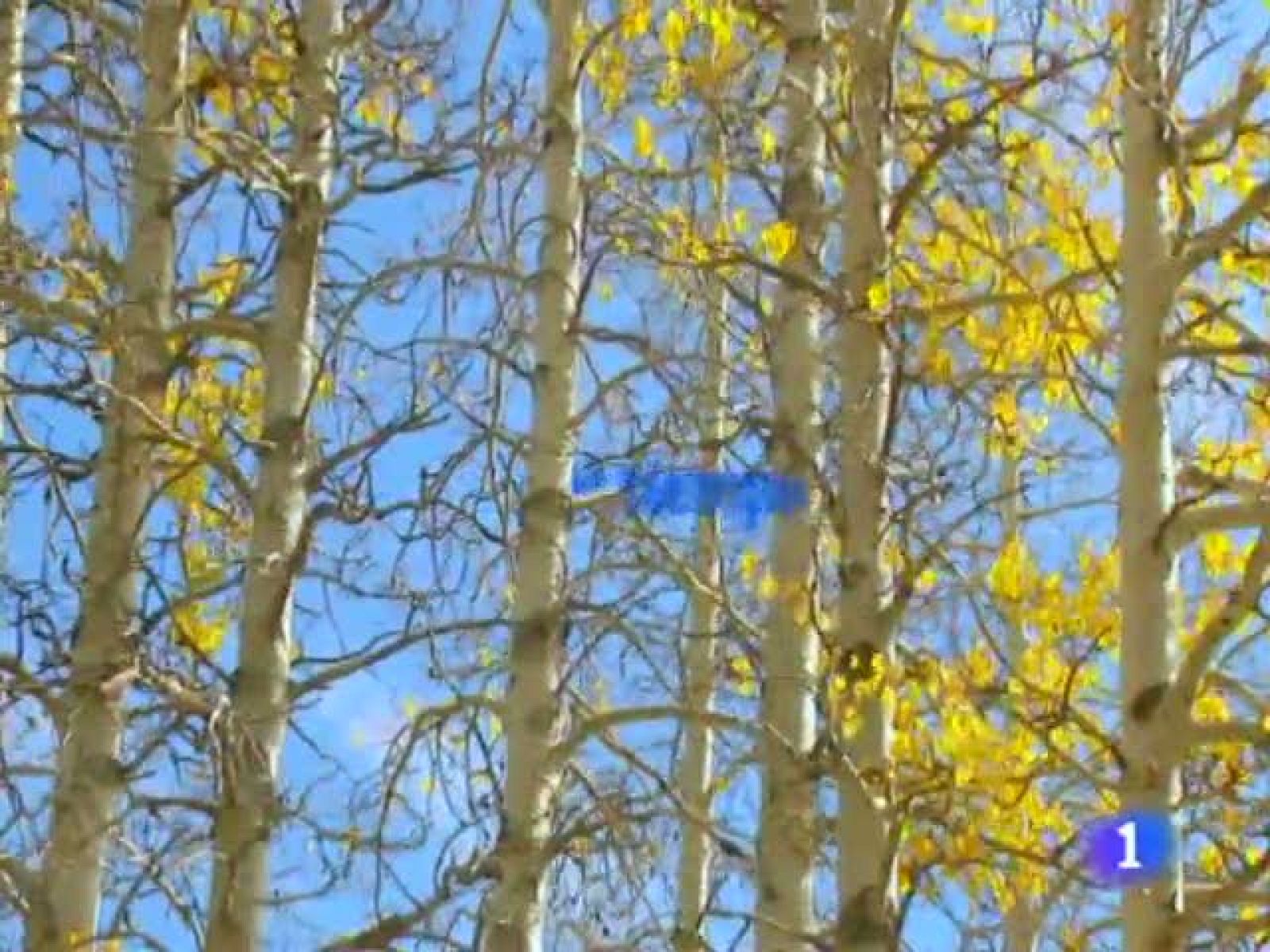 El tiempo en la Comunidad de Cantabria - 13/10/11