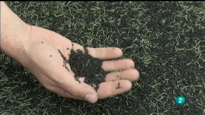 Biodiario - Biodiario - 13/10/11