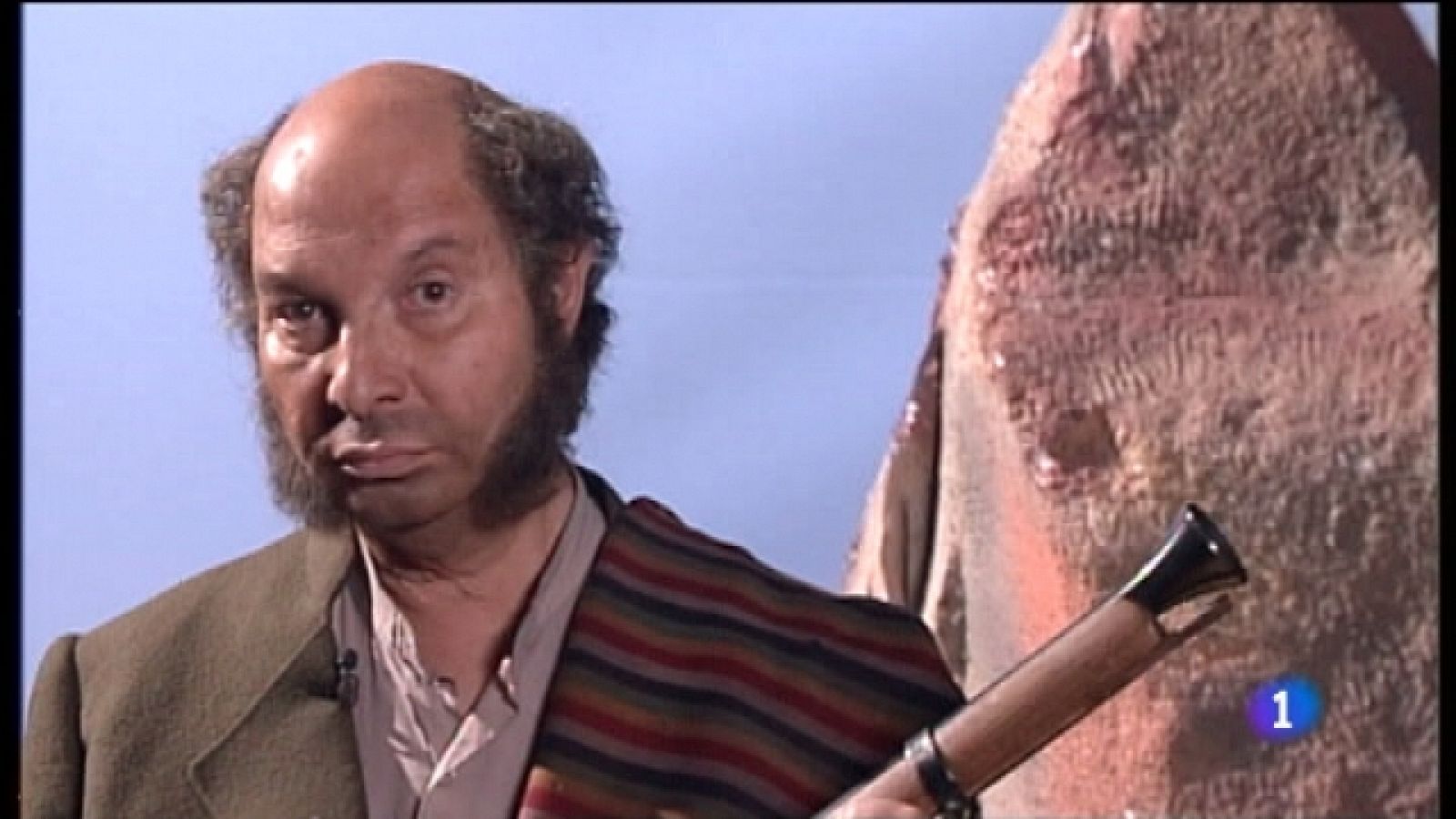 Cómo hemos cambiado - Series de acción - Ver ahora