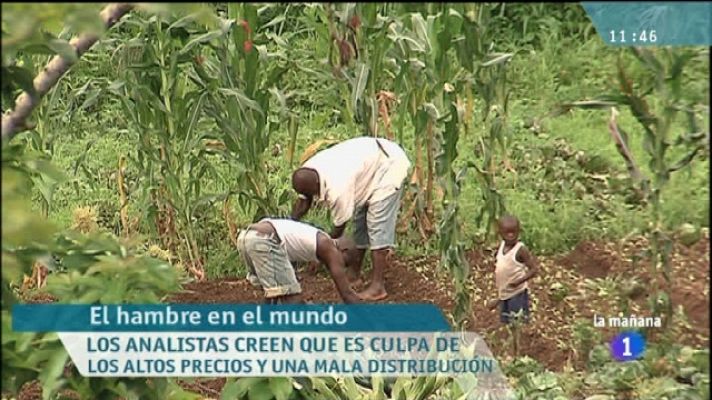 La mañana - La mañana de La 1 - 14/10/11