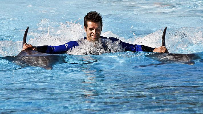  - Checa, entre delfines