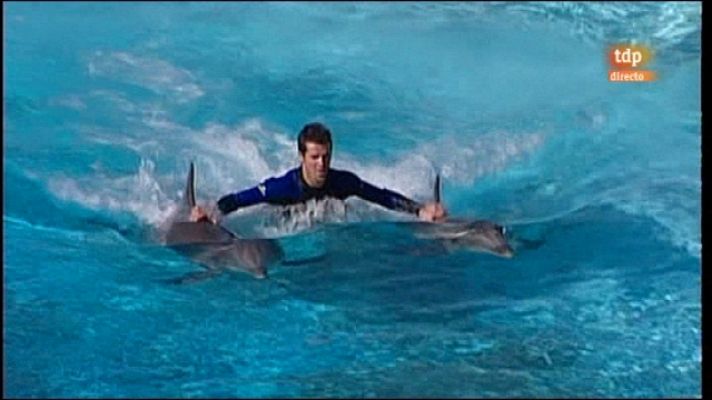 Conexión tdp - Conexión tdp - 14/10/11