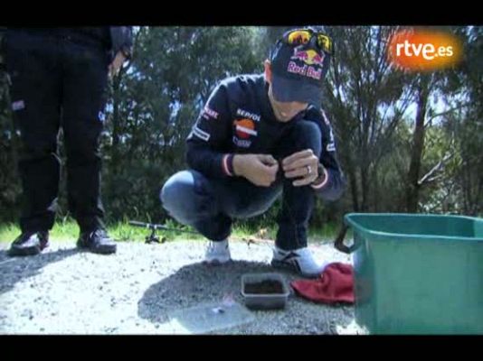  - Stoner, a pescar el campeonato