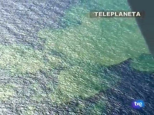 Teleplaneta - Teleplaneta - 15/10/11