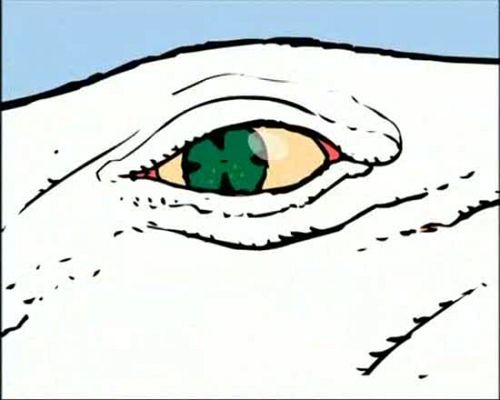 El cómic en RTVE.es - 'Arzak rhapsody', capítulo 3