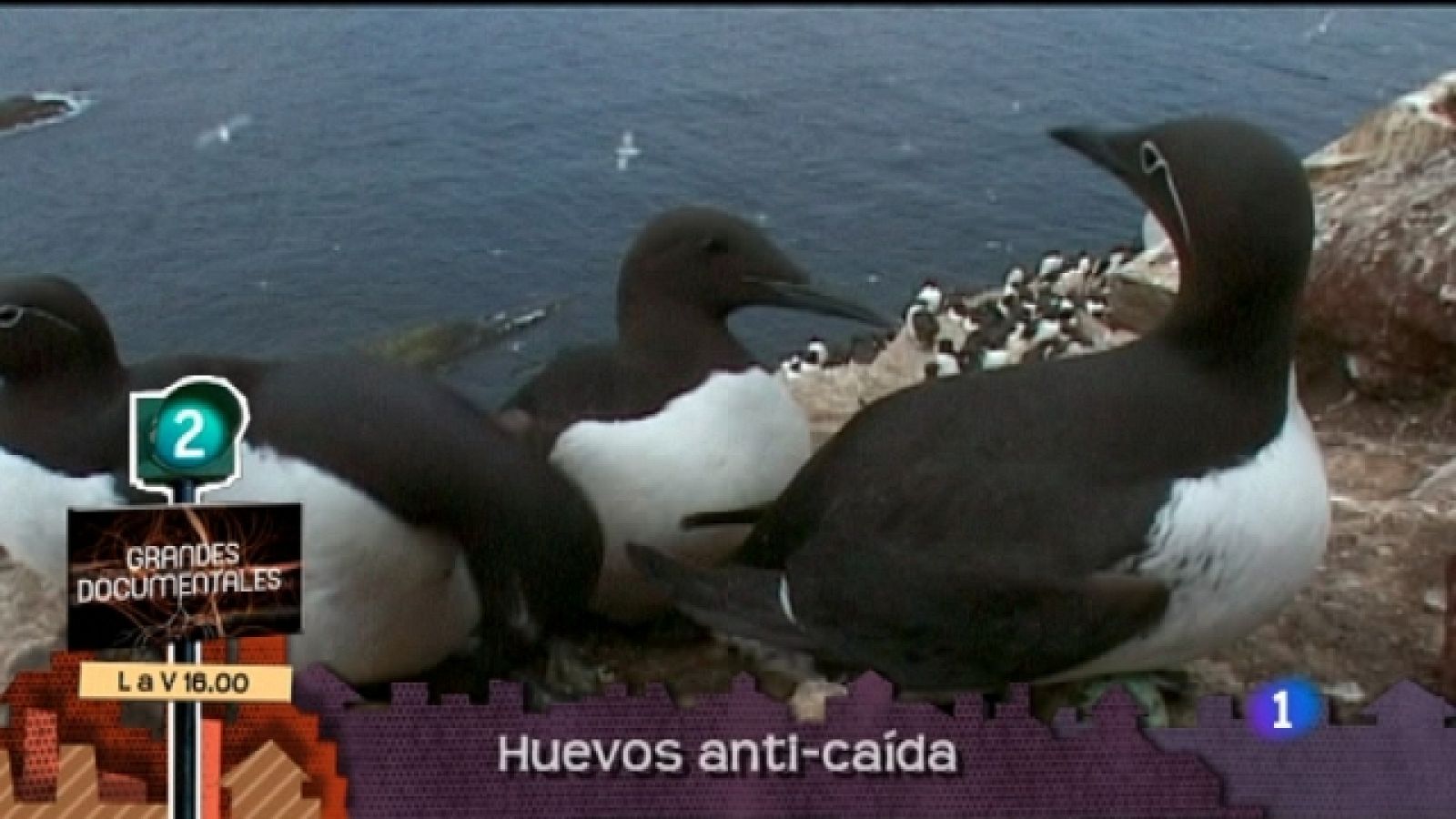 Lo que hay que ver - 15/10/11 - Ver ahora