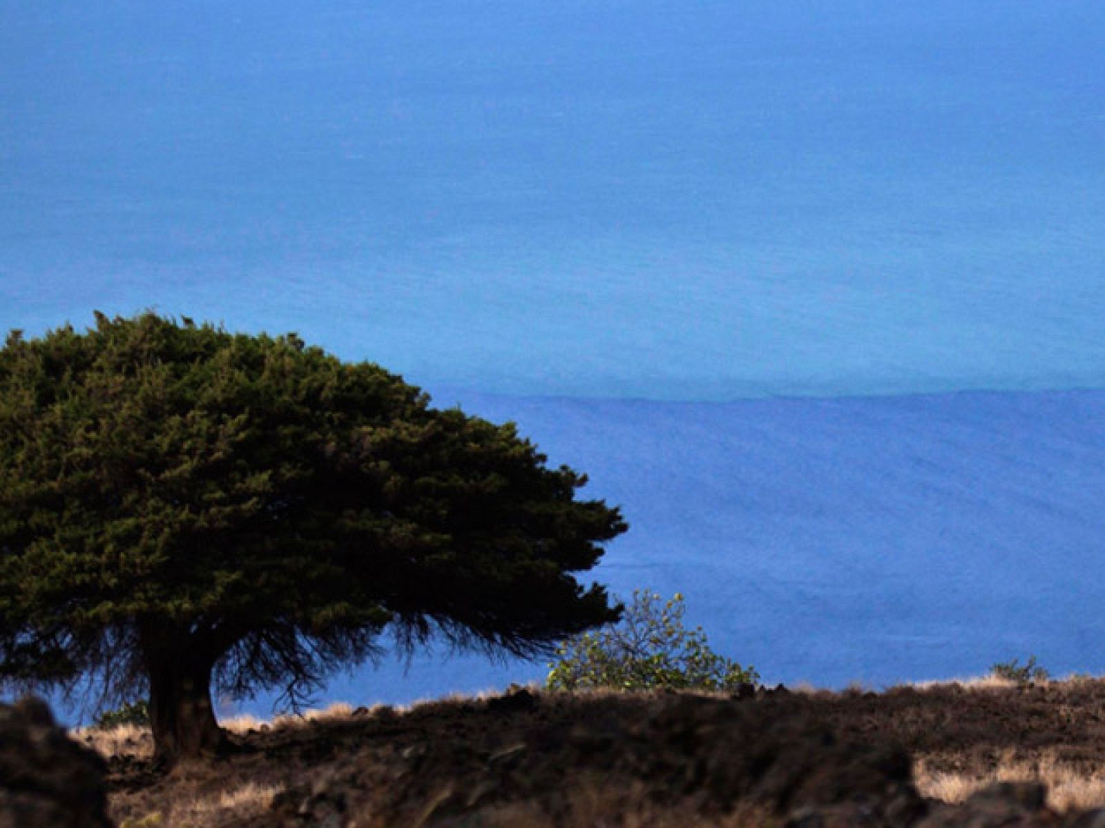 Telediario 2 de fin de semana en cuatro minutos - 16/10/11 | Ver