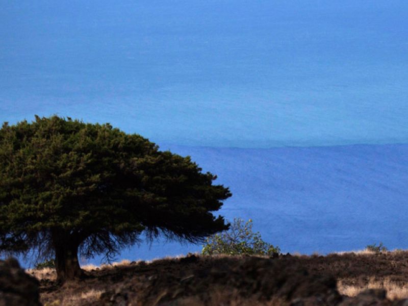 Telediario 2 de fin de semana en cuatro minutos - 16/10/11 | Ver