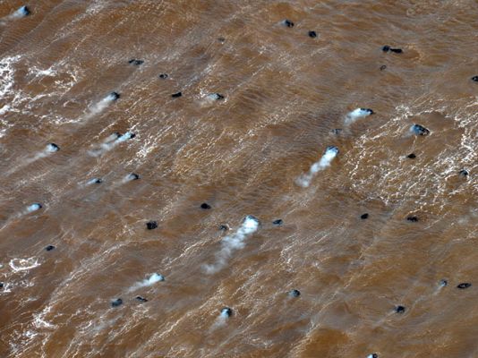 Telediario 1 - Regreso a sus hogares