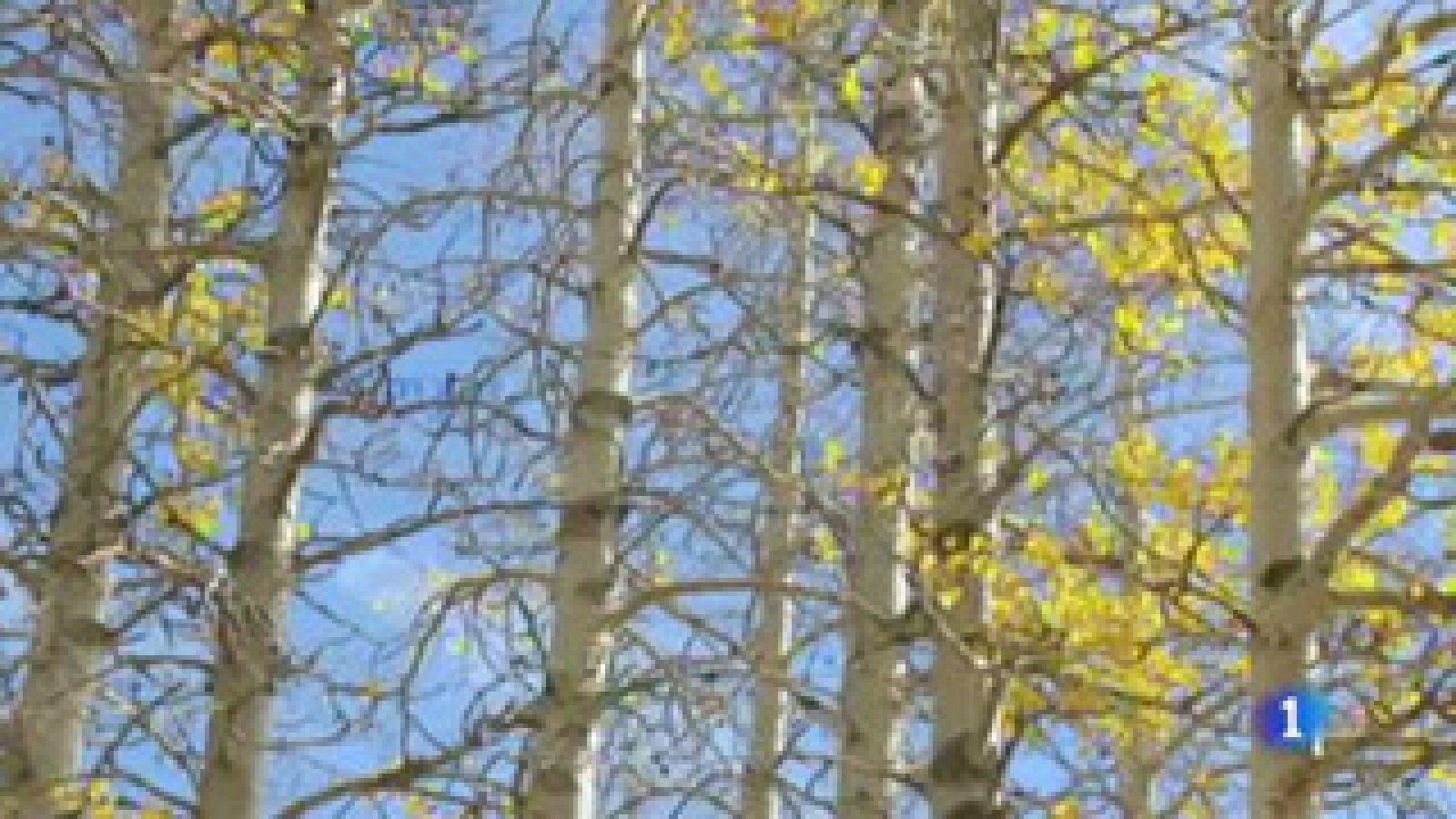 Buenas temperaturas y cielos despejados  para este lunes en toda España