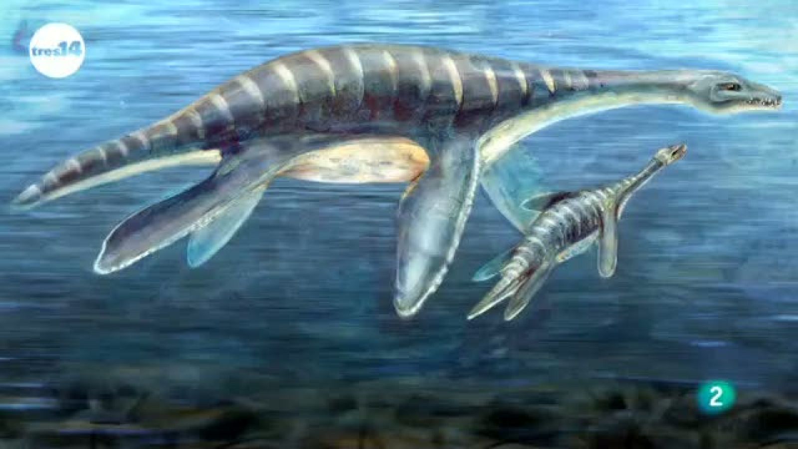 tres14 - curiosidades científicas - los falsos dinosaurios